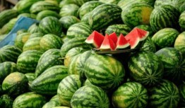 被吃瓜的网红有哪些名字,盘点那些被吃瓜群众热议的明星面孔