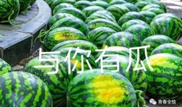 康县网红吃瓜二拼是谁家的,揭秘康县神秘美食家族传奇