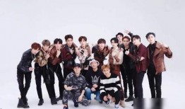 北京王哥爆料视频大全,揭秘京城热点事件